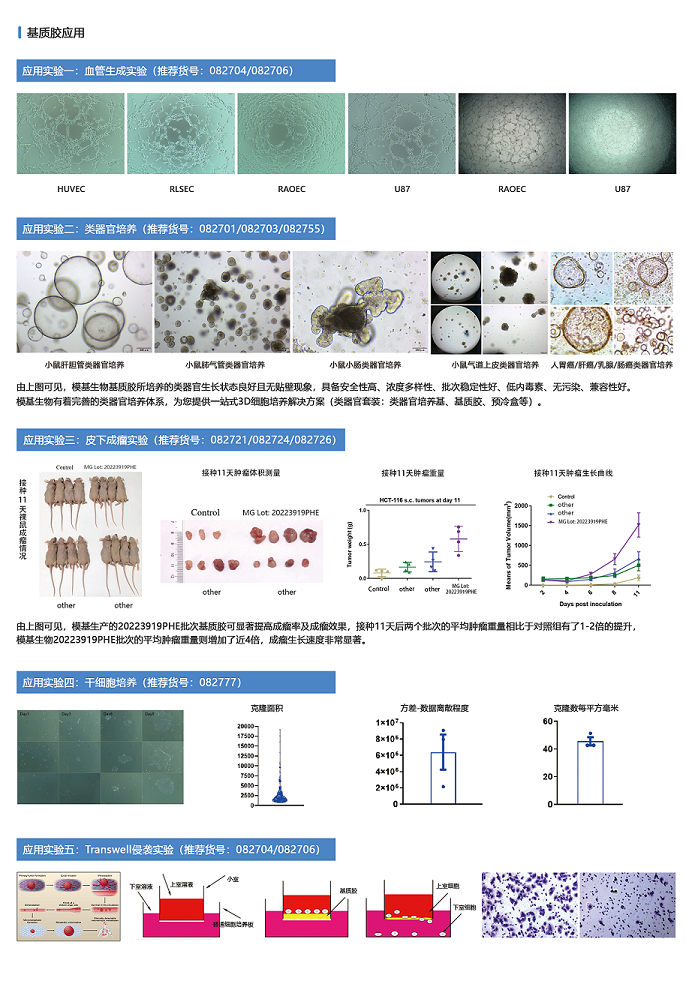 基質(zhì)膠產(chǎn)品宣傳單頁(yè)-背面 - 副本.png